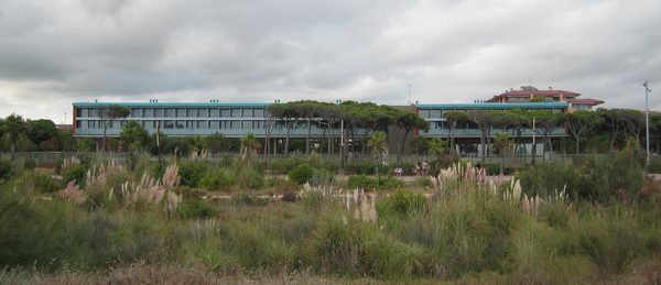 Imagen del edificio de oficinas de Central Mar completamente acabado (Agosto 2008)